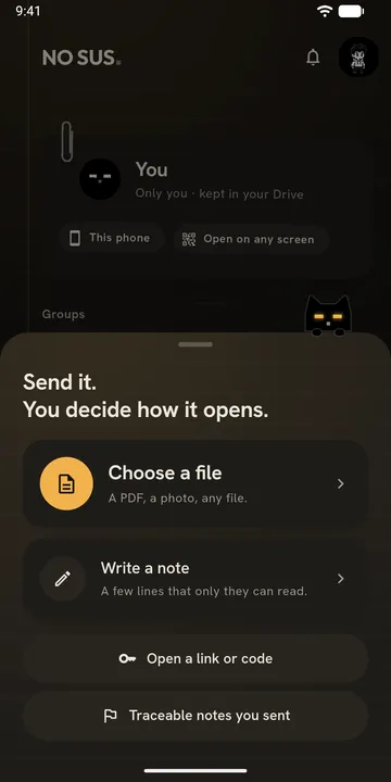 The NO SUS home screen at night with the Send sheet open